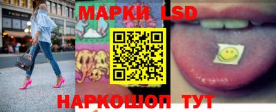 винт Владимир