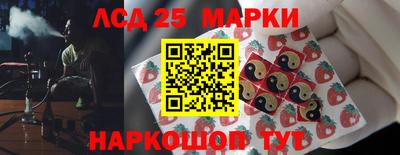 винт Владимир