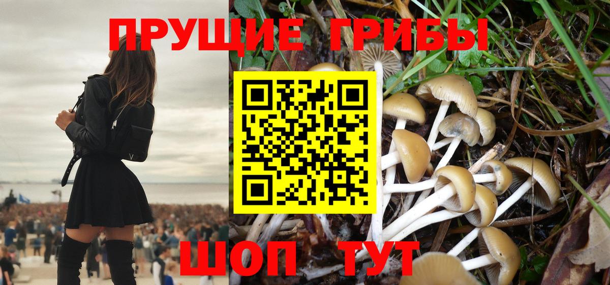 Галлюциногенные грибы Psilocybe  Вход с VPN  купить наркотики сайты  Ноябрьск  Галлюциногенные грибы GOLDEN TEACHER 