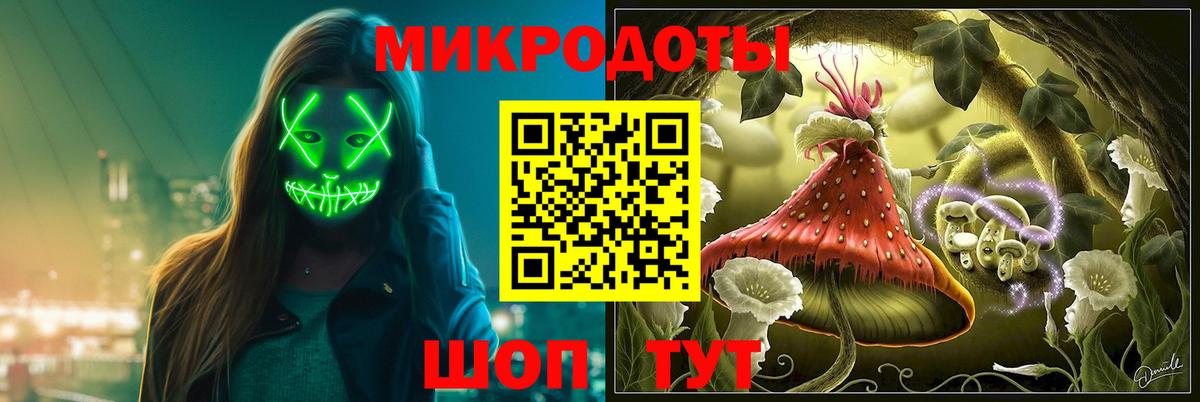 Галлюциногенные грибы Psilocybe Ноябрьск